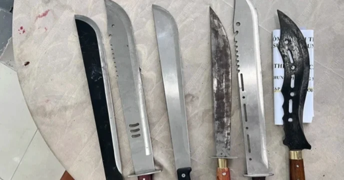 screen shot 2024 04 26 at 16 crop crop 1714125106709